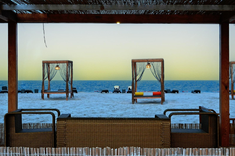 Doha: Full-Day Desert Safari, Dune Bashing & BBQ Dinner