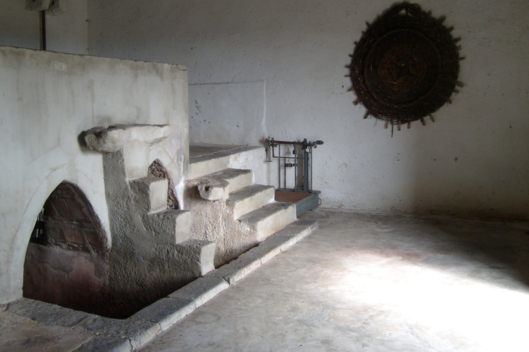 Catane : Visite guidée de l'exploitation agricole Pozzo di Gaspare avec dégustations