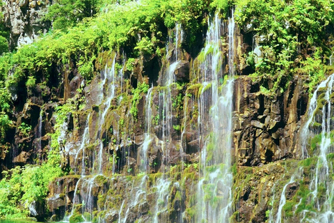 Tbilisi: Dashbash Canyon & Kass Land. Entertainment discount
