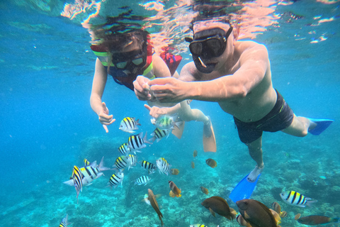 From Lombok Private Snorkeling 3 Gili All Inclusive