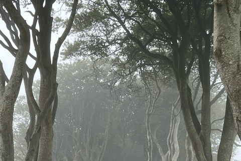 爱尔兰：贝尔法斯特市区与巨人堤道之旅爱尔兰：贝尔法斯特市与巨人堤道之旅