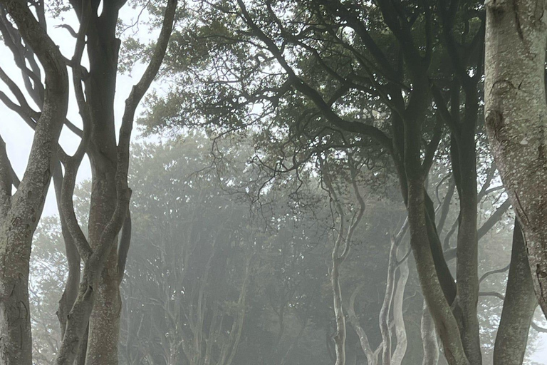 爱尔兰：贝尔法斯特市区与巨人堤道之旅爱尔兰：贝尔法斯特市与巨人堤道之旅