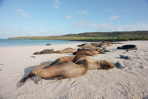 Dagsutflykt till Santa Fe med snorkling + Playa Escondida