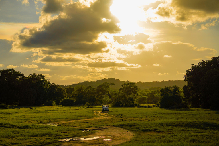 Morning Minneriya and Evening Kaudulla Full Day Safari