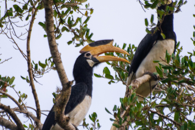 Ella: Udawalawa safaridrop: Tangalle / Mirissa / Galle