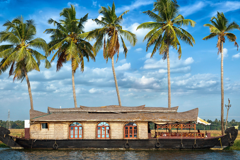 Cochin: 5-Day Kerala Tour with Munnar, Thekkady and Alleppey