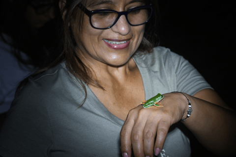 Tarapoto: Caminhada nocturna na floresta amazónica