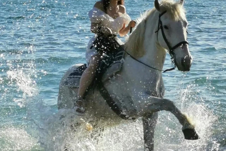 Zakynthos: Horse Riding Swimming Experience