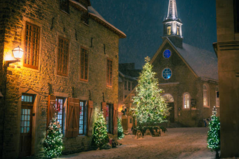 Visite à pied privée de la magie de Noël à QuébecQuébec : visite à pied privée de la magie de Noël