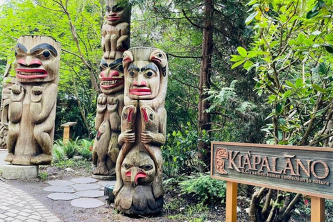 Vancouver Capilano Canyon światło i szczyt Bożego Narodzenia w Grouse