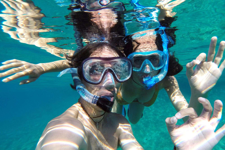 Zanzibar: Mnemba Dolphin, Jozani Forest & Turtle Sanctuary Private Tour without Hotel transfer