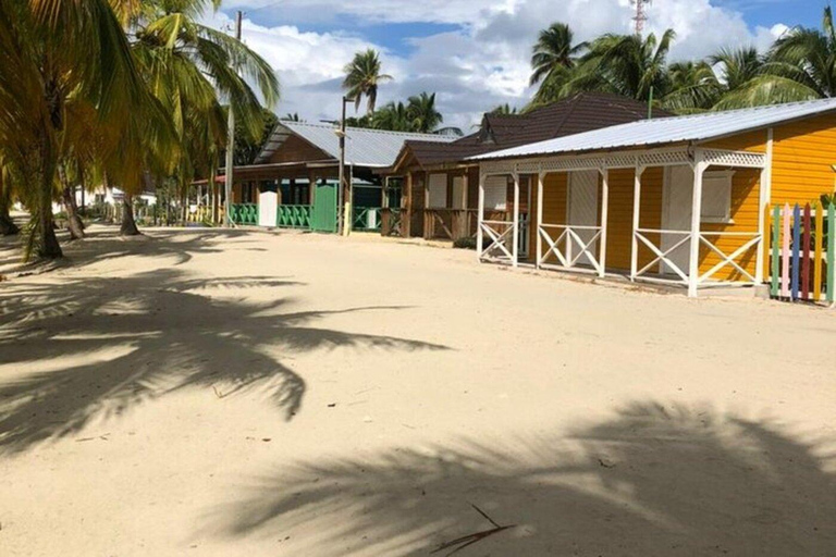 Private Saona Island VIP Beach Escape & Mano Juan Experience