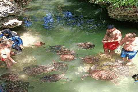 Zanzibar: Baraka Aquarium and Sea Turtle Swim with Transport Baraka Aquarium with Transfer