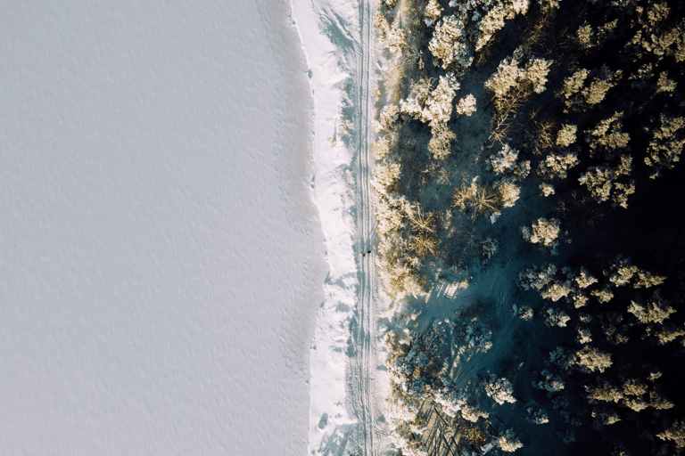 Slow Tour West : Arvo Pärt Centre and Coastal Hikes With sauna session