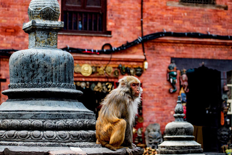 Kathmandu: Private Cultural and Heritage Day Tour