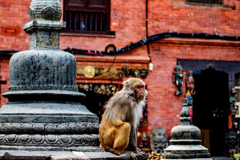 Kathmandu: Private Cultural and Heritage Day Tour