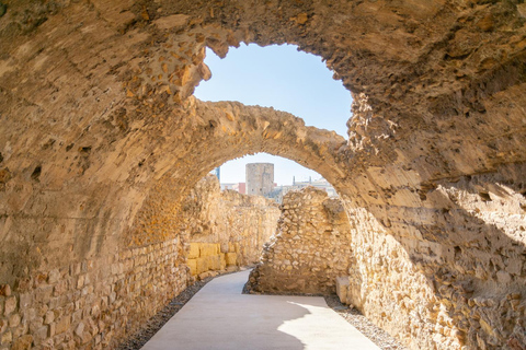 Roman Circus & Praetorium Combined Entry Ticket Tarraco
