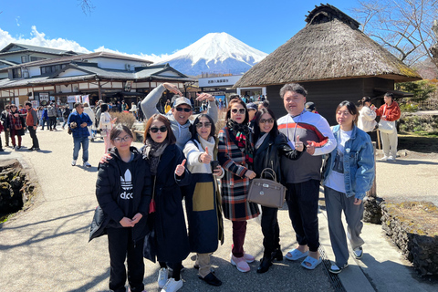 Tokyo : City of Lights Private Tour Visitez les meilleures attractions