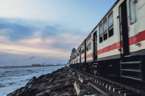 Colombo: Mirissa Day Trip with Scenic Coastal Train Ride Colombo: Mirissa Day Trip with Scenic Coastal Train Ride