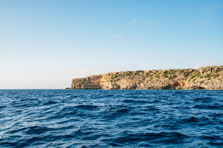 Baie de Palma : 1 heure d'aventure en bateau rapideBaie de Palma : aventure de 1 h en hors-bord