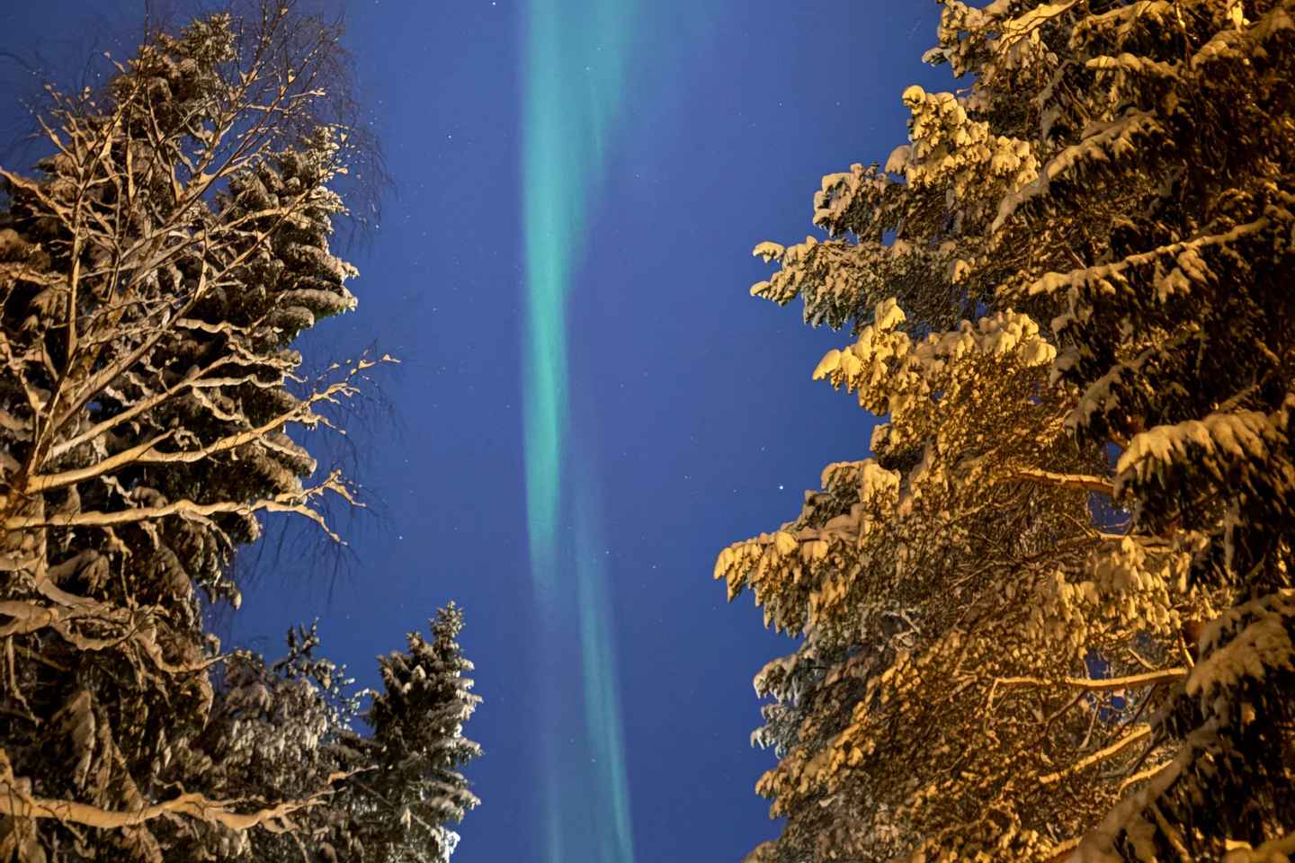 Desde Rovaniemi: Tour de Auroras Boreales con Refrigerios en la Fogata