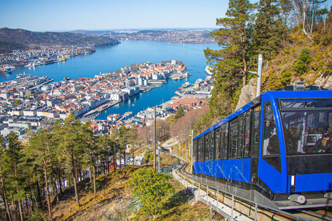 Visite guidée privée de la ville de Bergen - 8 attractions principales