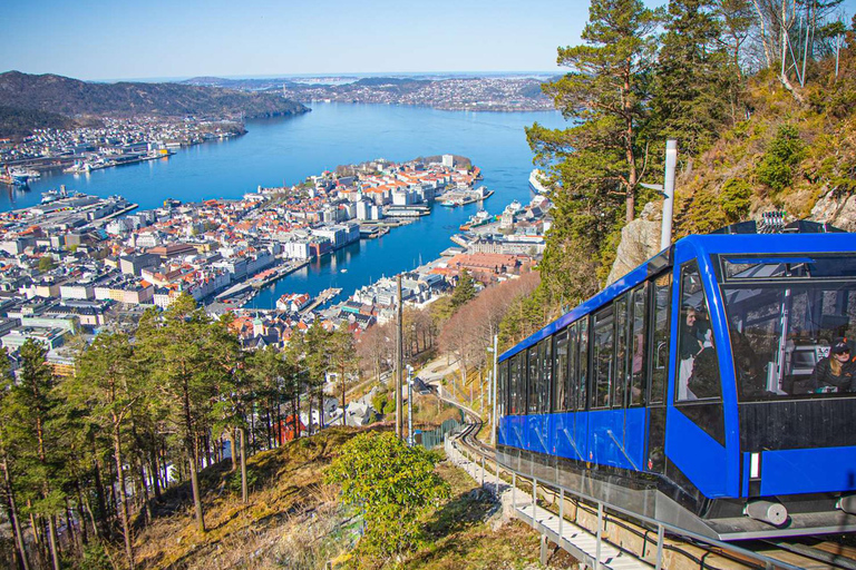 Passeio guiado privado pela cidade de Bergen - 8 atrações principais