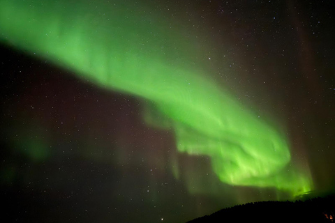 Vanuit Saariselkä/Inari: Aurora-jachttour, kampvuur en snacksVanuit Saariselkä/Inari: op jacht naar het noorderlicht, kampvuur en snacks
