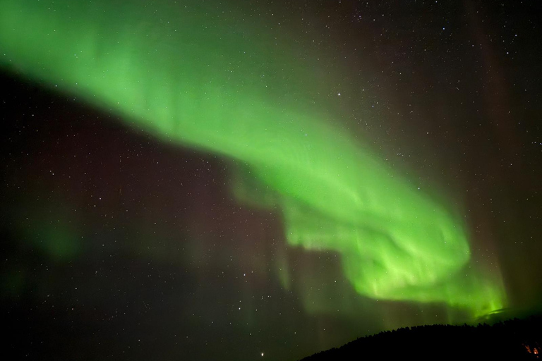 Vanuit Saariselkä/Inari: Aurora-jachttour, kampvuur en snacksVanuit Saariselkä/Inari: op jacht naar het noorderlicht, kampvuur en snacks