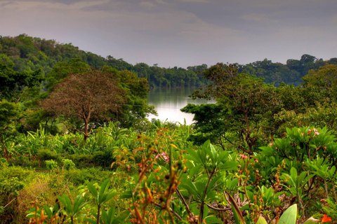 Arusha: Lake Duluti Canoeing Adventure with Picnic Lunch