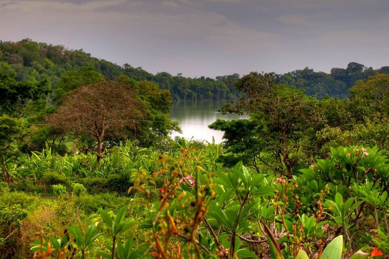 Arusha: Lake Duluti Canoeing Adventure with Picnic Lunch