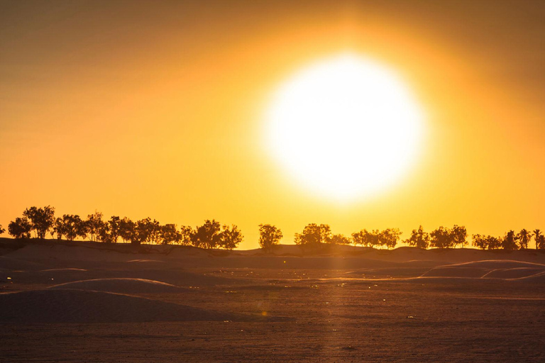 From Djerba: Desert Camp & Amazigh Villages Tour with Dinner