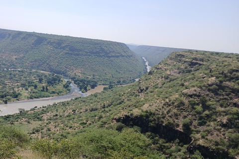 "Doświadczenie safari w Parku Narodowym Awash"