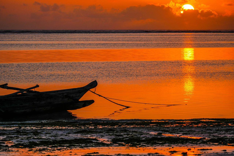 Safari Blue Viagem de 1 dia (paraíso)