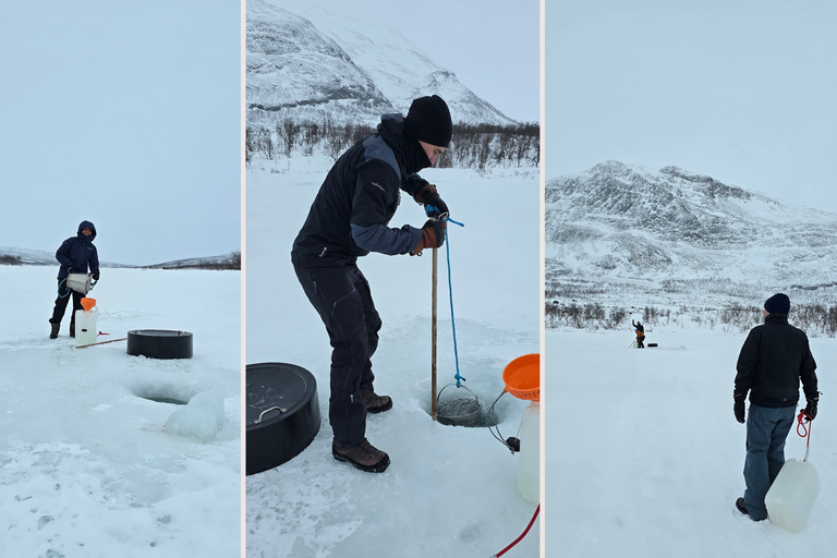 Abisko National Park: A snowshoe journey into the Arctic