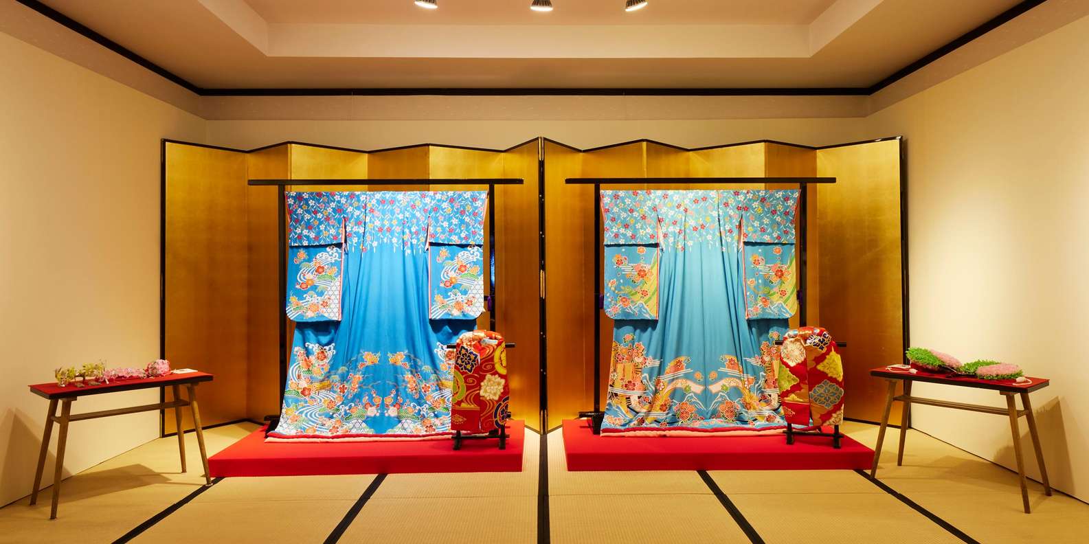 Kyoto : Geiko Maiko Dance of Kyoto & Visits of Gion Museum