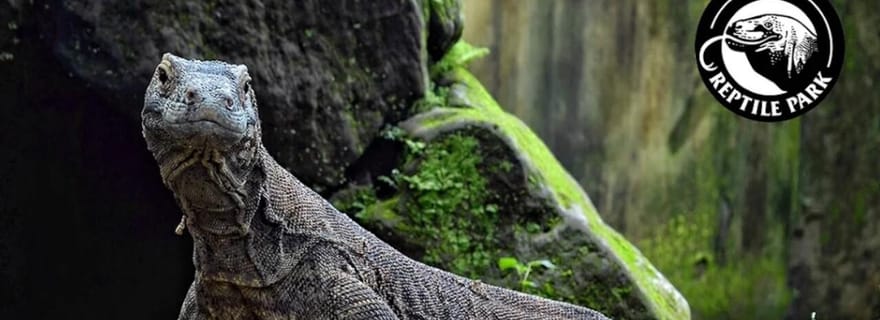 Bali Reptile Park 1 jour billet d'entrée