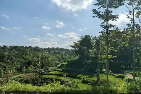 Tetebatu: Privat Tour Rice Terrace, Waterfall, Monkay forest