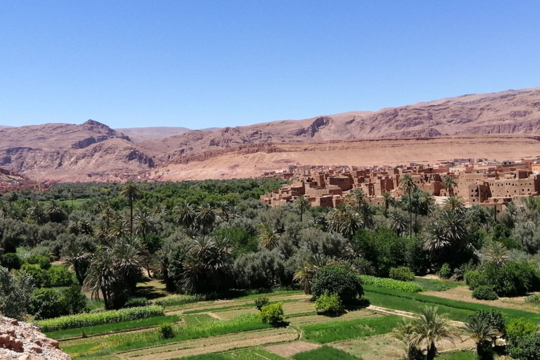 Excursión de 3 días por el desierto del Sáhara marroquí de Marrakech a Fez