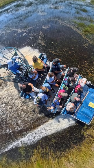 Tour ecológico por los Everglades: hidrodeslizador, fauna y hasta 2 islas privadas