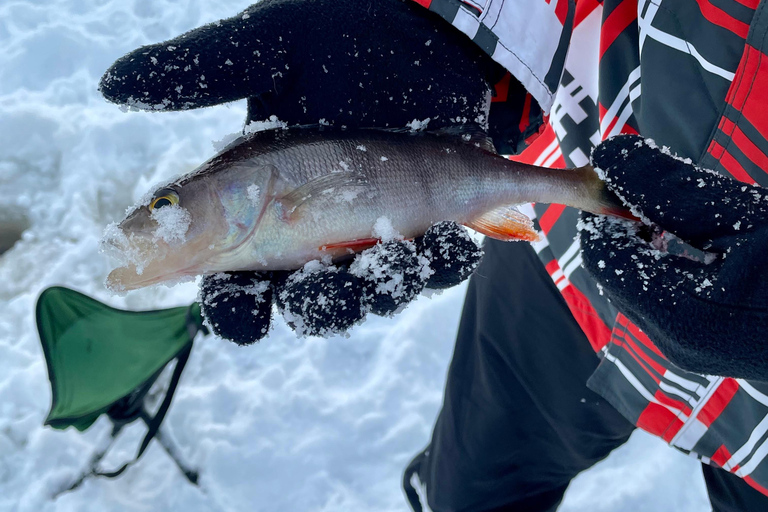 Rovaniemi: Ice Fishing Experience with Barbecue