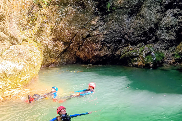 من بوفيك: التجديف العائلي في هاكونا ماتاتاأفضل 100% من رحلات التجديف العائلية في هاكونا ماتاتا