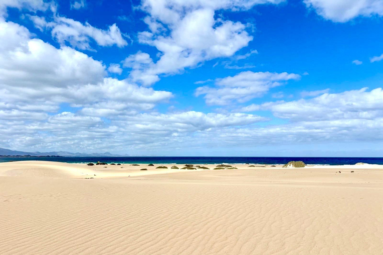 Lobos Island, Popcorn Beach, & Dunes Tour