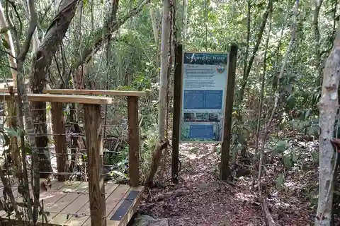 Guided Primeval Nature Walk Tour