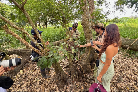Palomino: Guided Birdwatching Tour with Hotel Pickup