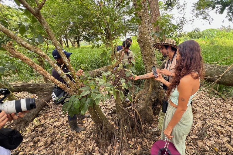 Palomino: Guided Birdwatching Tour with Hotel Pickup