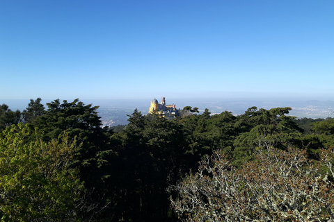 Lissabon: Halve dag tour door Sintra met het paleis van Pena en Regaleira