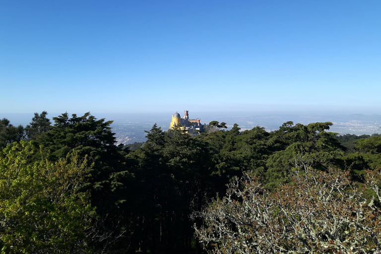 Lisboa: Excursão de meio dia a Sintra com o Palácio da Pena e a Regaleira