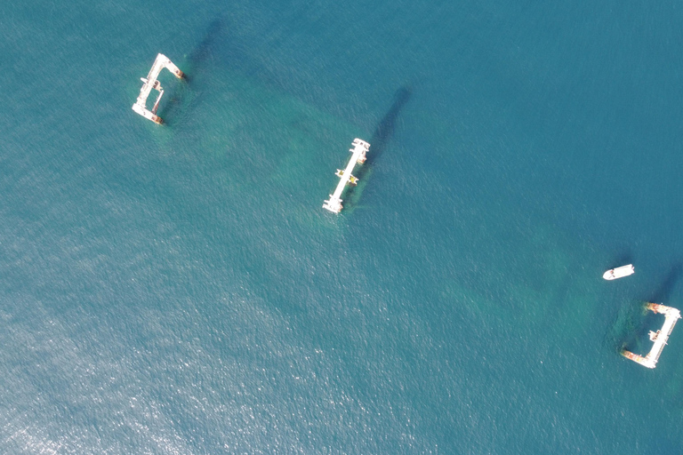 Colombo: Shipwreck Diving Experience within the city