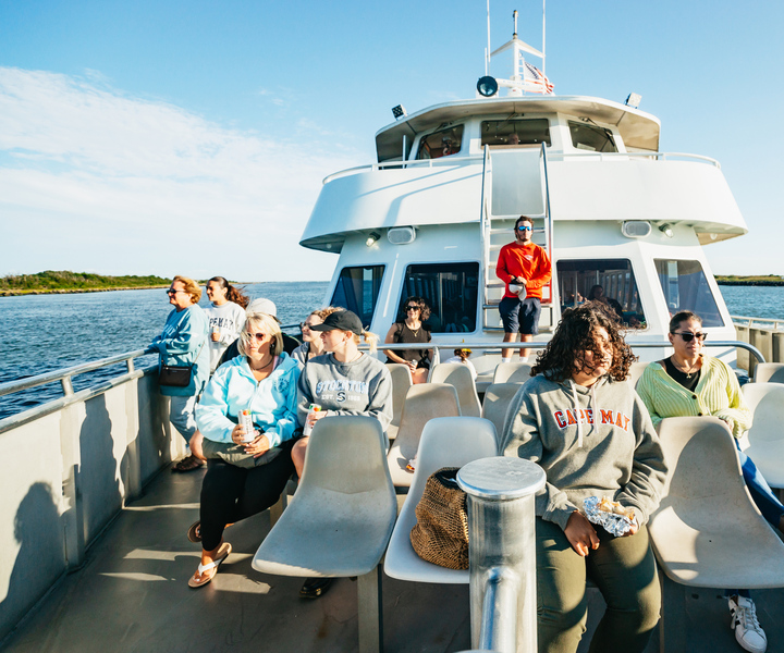 Cape May: Cape May Island Sunset Cruise & Dolphin Watching